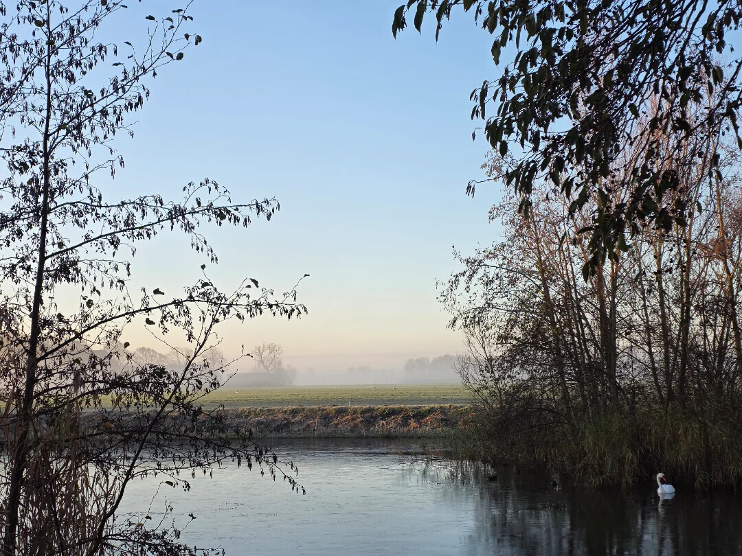 Unique Photos Bringing Life to Your Boring Feed