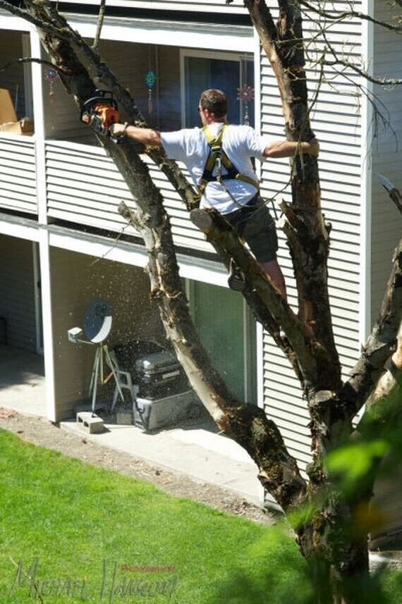 Photos Where Intervention Was Desperately Needed