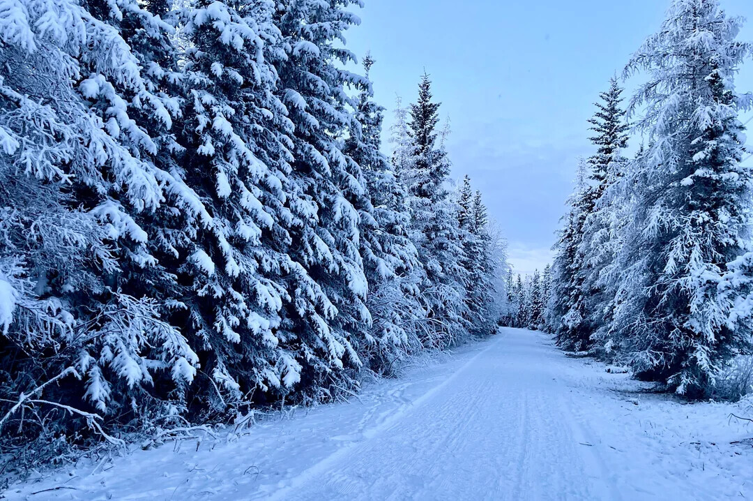 Unique Photos Bringing Life to Your Boring Feed