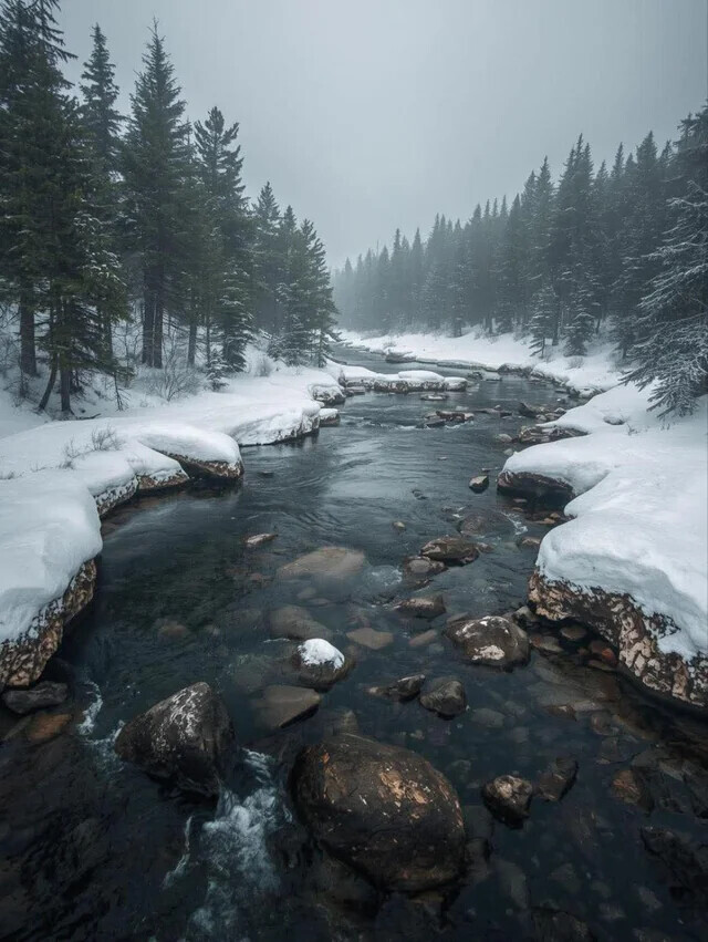 Unique Photos Bringing Life to Your Boring Feed