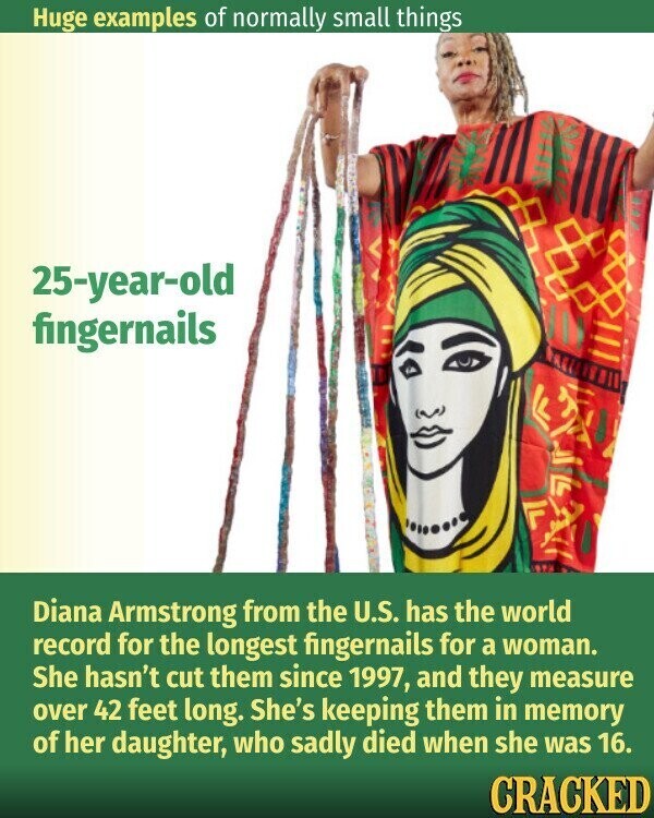 Huge examples of normally small things 25-year-old fingernails Diana Armstrong from the U.S. has the world record for the longest fingernails for a woman. She hasn't cut them since 1997, and they measure over 42 feet long. She's keeping them in memory of her daughter, who sadly died when she was 16. CRACKED