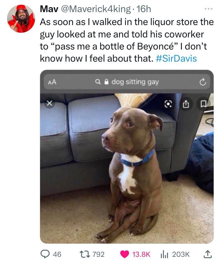 Mav @Maverick4king.1 16h ... As soon as I walked in the liquor store the guy looked at me and told his coworker to pass me a bottle of Beyoncé I don't know how I feel about that. #SirDavis AA dog sitting gay x 46 792 13.8K del 203K