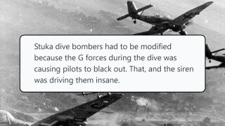 25 Wild Facts About World War II