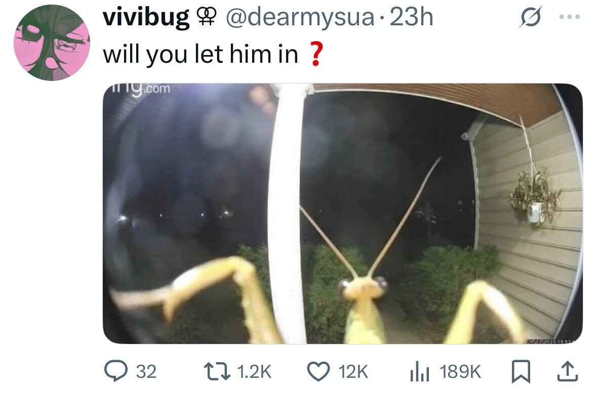 vivibug 84 @dearmysua. 23h ... will you let him in ? g.com 07/11/2023 19.33 32 1.2K 12K del 189K 