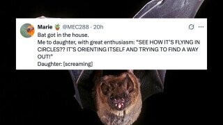 34 of the Funniest Tweets from Thursday, October 16, 2025