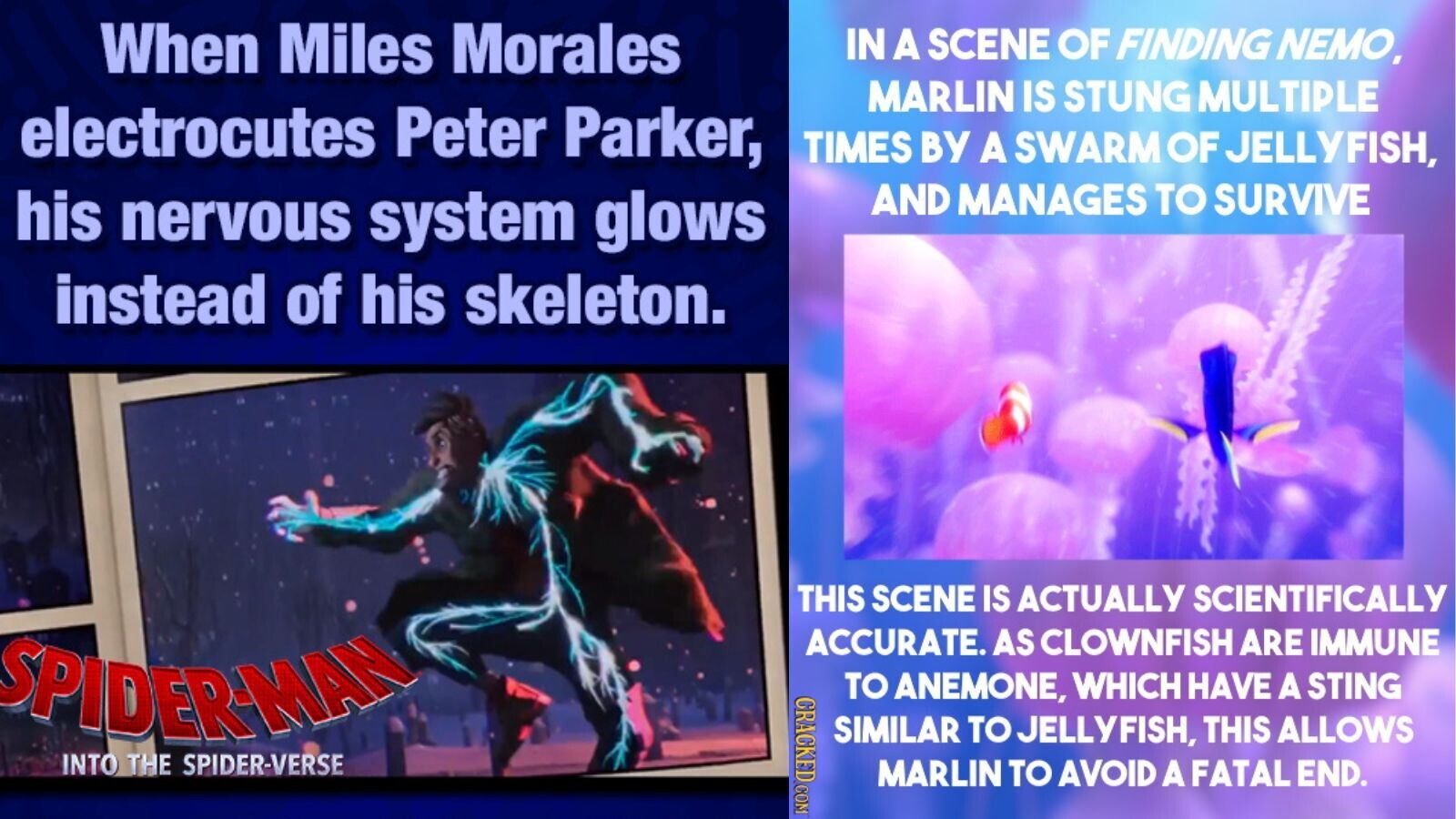 12 Times Movies Got the Science Right