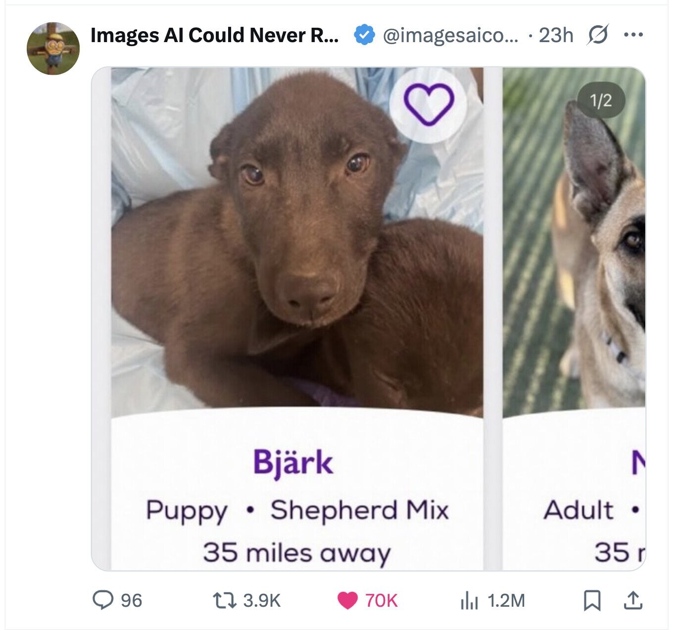 Images AI Could Never R... @imagesaico... 23h s ... 1/2 Bjärk Puppy Shepherd Mix Adult 35 miles away 35 r 96 3.9K 70K 1.2M