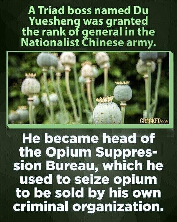 A Triad boss named Du Yuesheng was granted the rank of general in the Nationalist Chinese army. CRACKED.COM Не became head of the Opium Suppres- sion Bureau, which he used to seize opium to be sold by his own criminal organization.