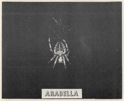 20 Bizarre Space Experiments That Actually Happened