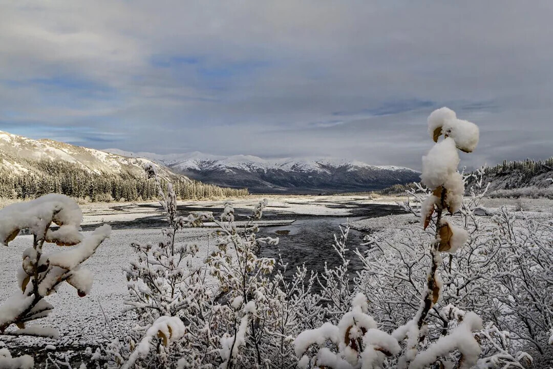 Unique Photos Bringing Life to Your Boring Feed