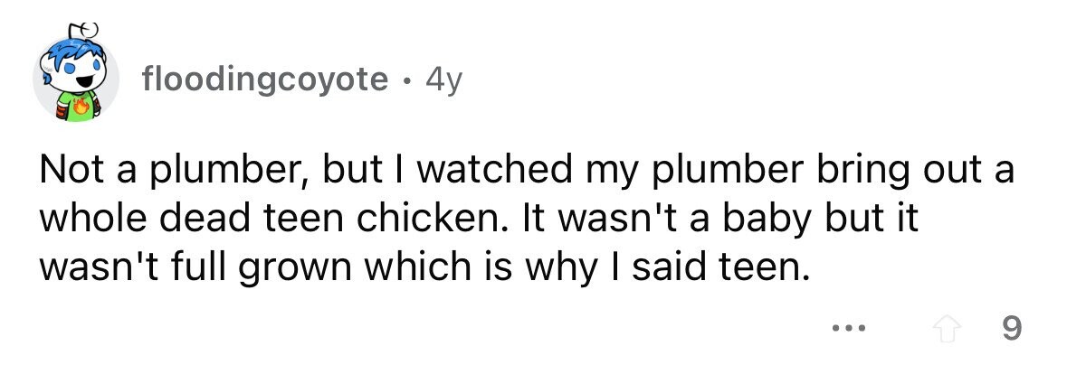 floodingcoyote. . 4y Not a plumber, but I watched my plumber bring out a whole dead teen chicken. It wasn't a baby but it wasn't full grown which is why I said teen. ... 9