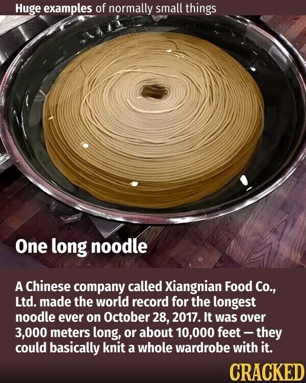 Huge examples of normally small things One long noodle A Chinese company called Xiangnian Food Co., Ltd. made the world record for the longest noodle ever on October 28, 2017. It was over 3,000 meters long, or about 10,000 feet-they could basically knit a whole wardrobe with it. CRACKED