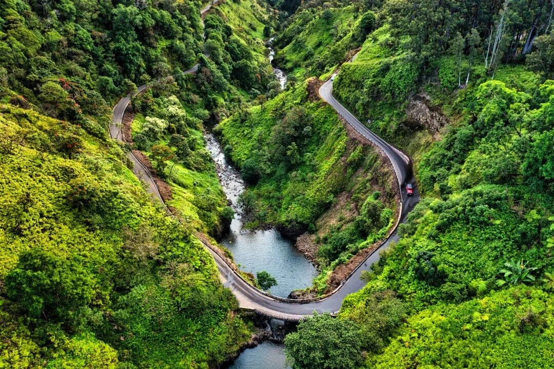 Unique Photos Bringing Life to Your Boring Feed