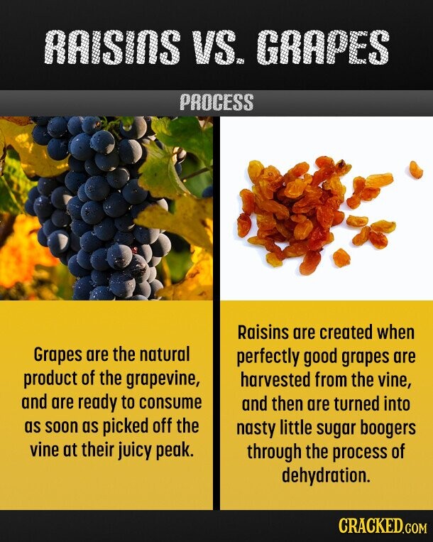 Raisins Vs. Grapes
