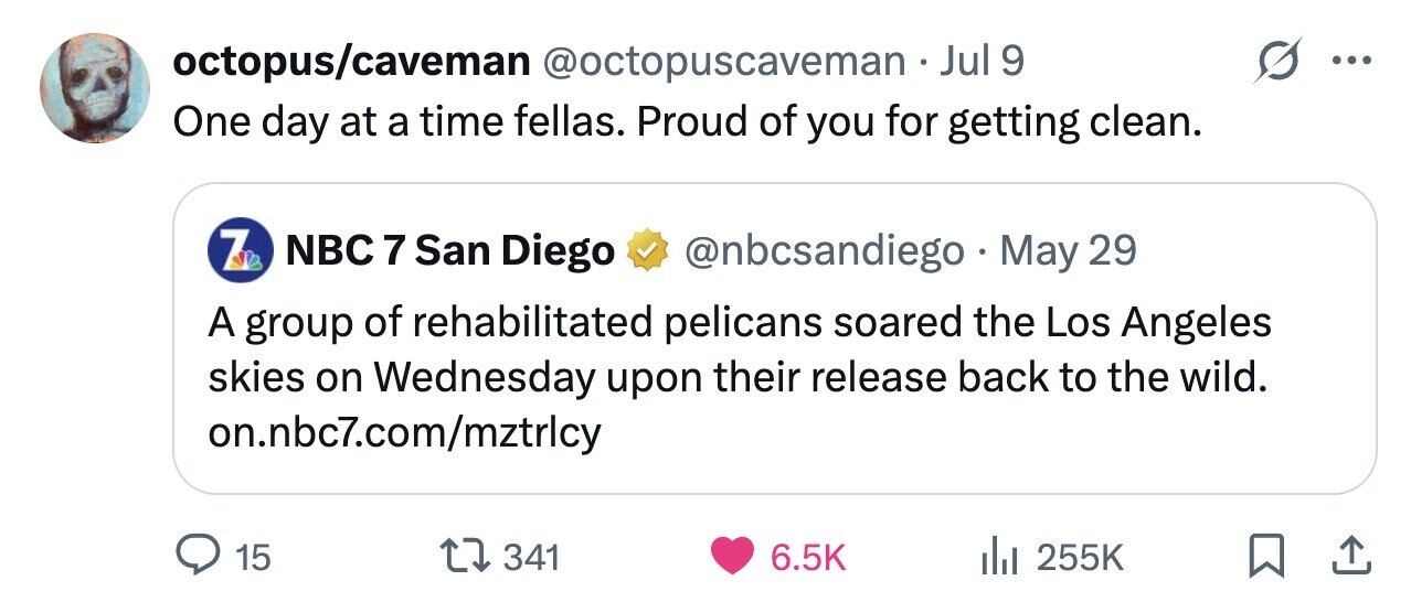 octopus/caveman @octopuscaveman JJ 9 ... One day at a time fellas. Proud of you for getting clean. 7P NBC 7 San Diego @nbcsandiego May 29 A group of rehabilitated pelicans soared the Los Angeles skies on Wednesday upon their release back to the wild. on.nbc7.com/mztrlcy 15 341 6.5K 255K