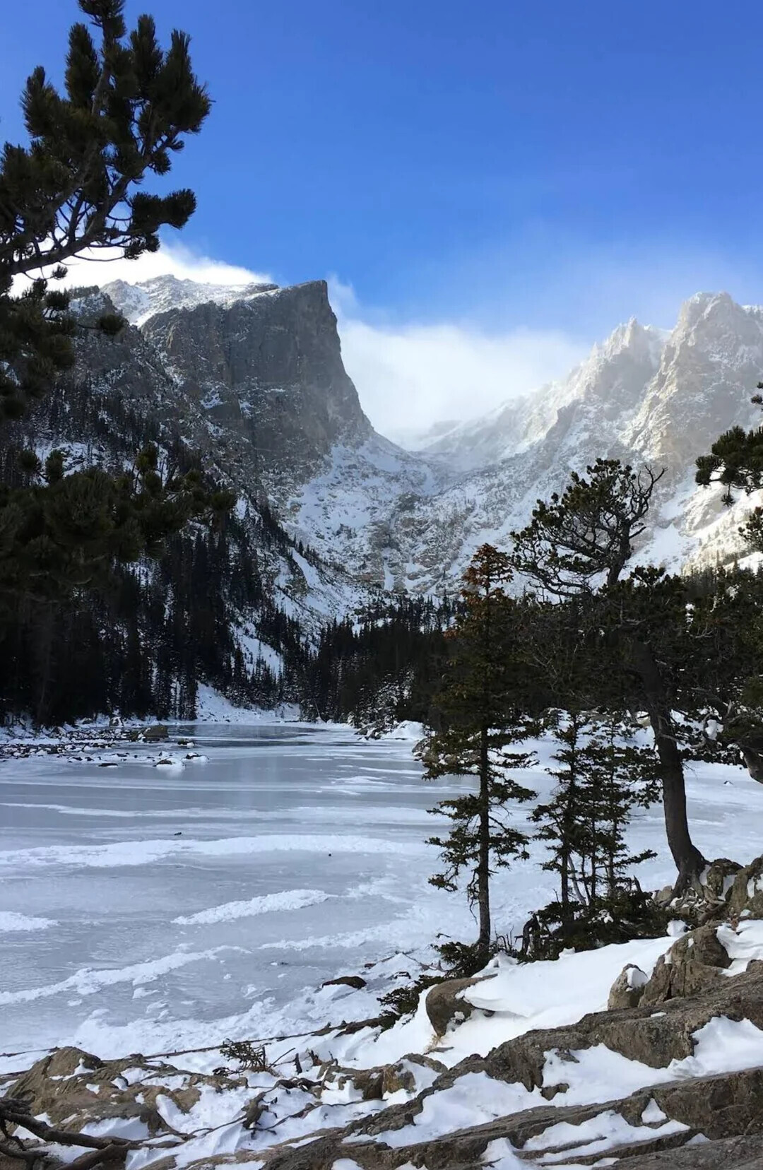 Unique Photos Bringing Life to Your Boring Feed