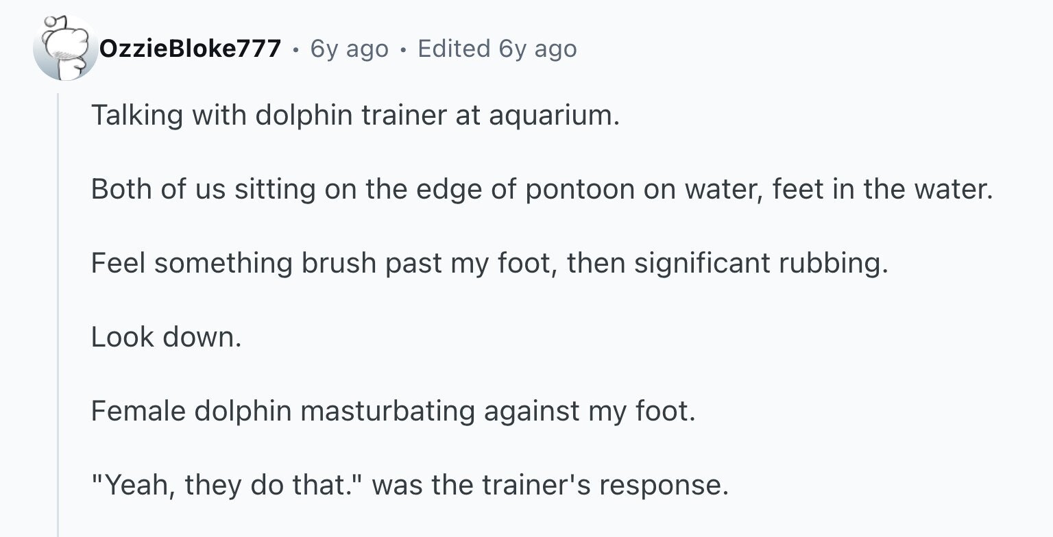 OzzieBloke777 6y ago Edited 6y ago Talking with dolphin trainer at aquarium. Both of us sitting on the edge of pontoon on water, feet in the water. Feel something brush past my foot, then significant rubbing. Look down. Female dolphin masturbating against my foot. Yeah, they do that. was the trainer's response.