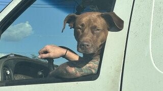 20 Interesting Yet Confusing Perspectives