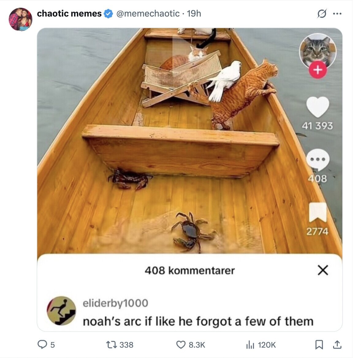 chaotic memes @memechaotic - 19h O ... + 41 393 ... 408 2774 408 kommentarer X eliderby1000 noah's arc if like he forgot a few of them 5 338 8.3K del 120K