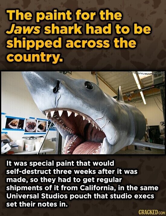 The paint for the Jaws shark had to be shipped across the country. It was special paint that would self-destruct three weeks after it was made, so they had to get regular shipments of it from California, in the same Universal Studios pouch that studio execs set their notes in. CRACKED.COM