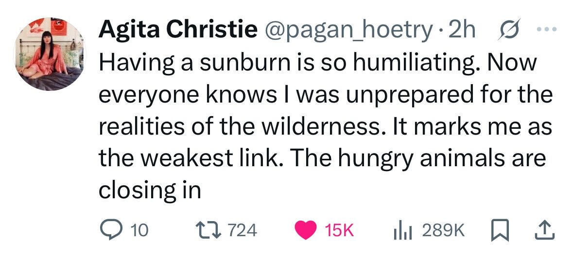 Agita Christie @pagan_hoetry 2h s ... Having a sunburn is so humiliating. Now everyone knows I was unprepared for the realities of the wilderness. It marks me as the weakest link. The hungry animals are closing in 10 724 15K 289K 