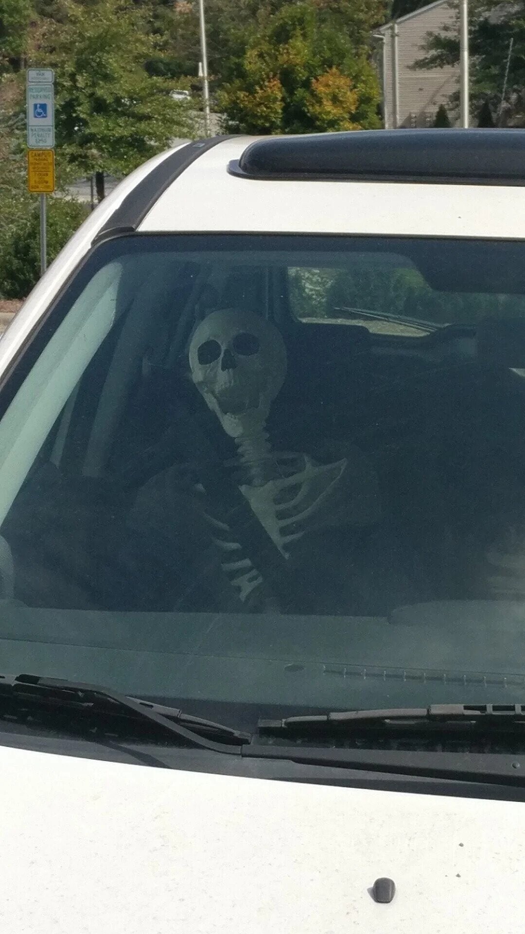 visit PARKING NATIONAL 84% CAMPA Netch a - TOUR GOV MIX