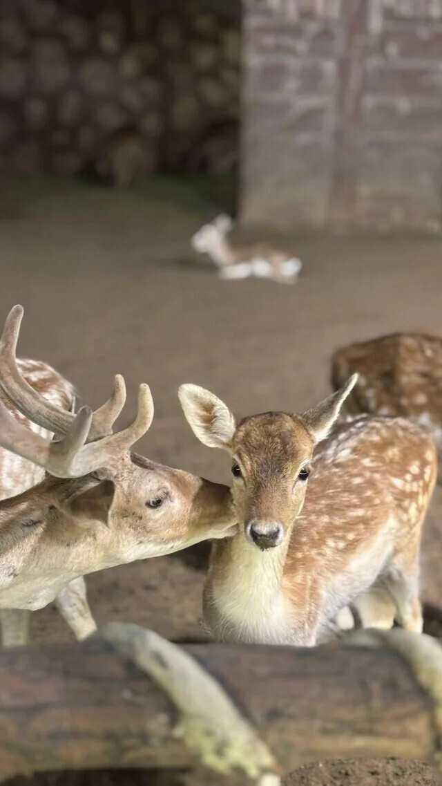 Unique Photos Bringing Life to Your Boring Feed