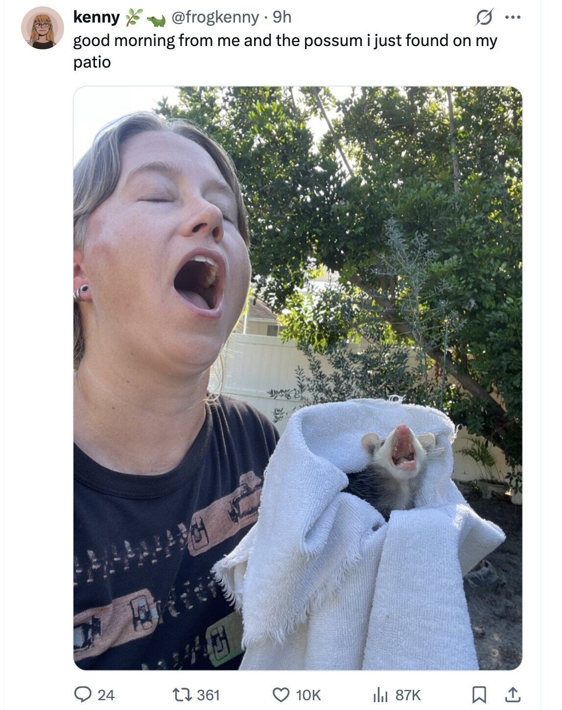 G ... kenny @frogkenny 9h good morning from me and the possum just found on my patio 24 361 10K 87K