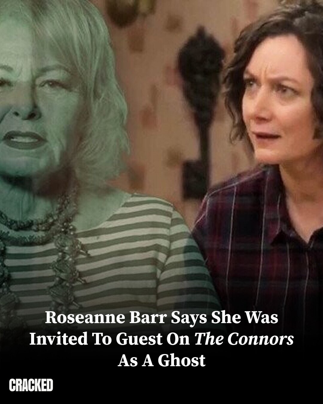 Roseanne Barr Says She Was Invited To Guest On The Connors As A Ghost CRACKED