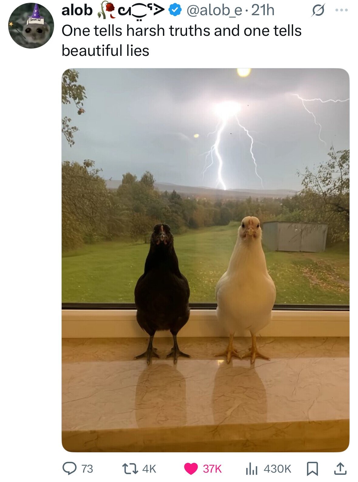 alob @alob_e. 21h s ... Seriors had One tells harsh truths and one tells beautiful lies 73 4K 37K 430K 