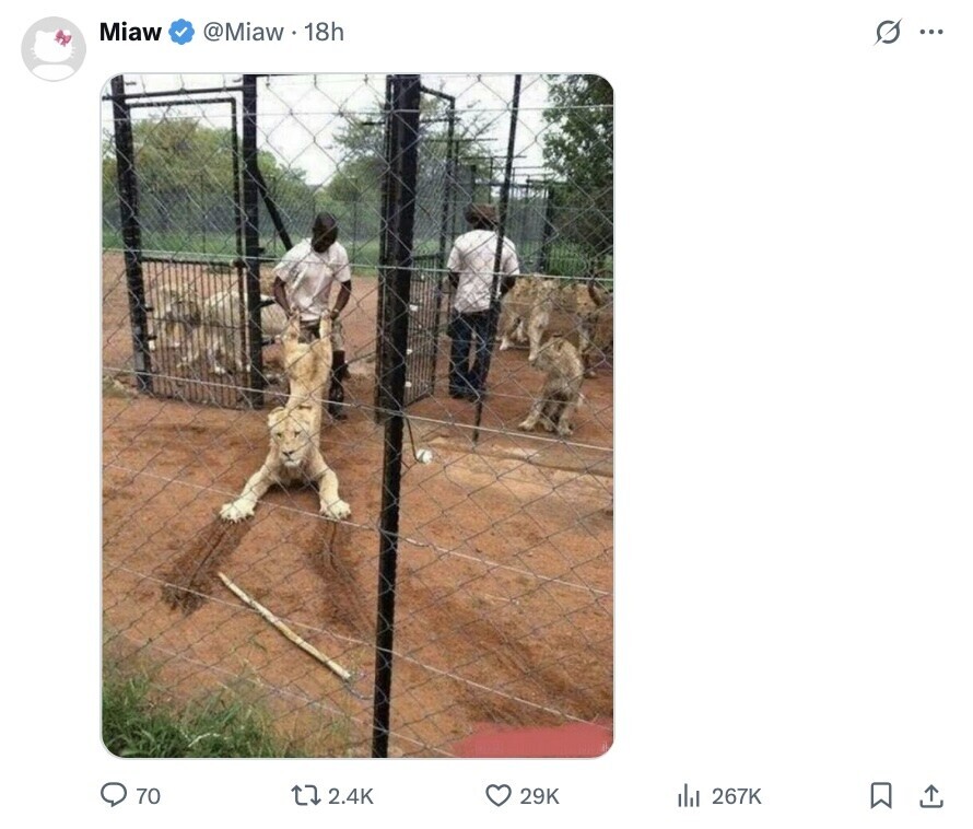 Miaw @Miaw 18h Q... 70 2.4K 29K del 267K 