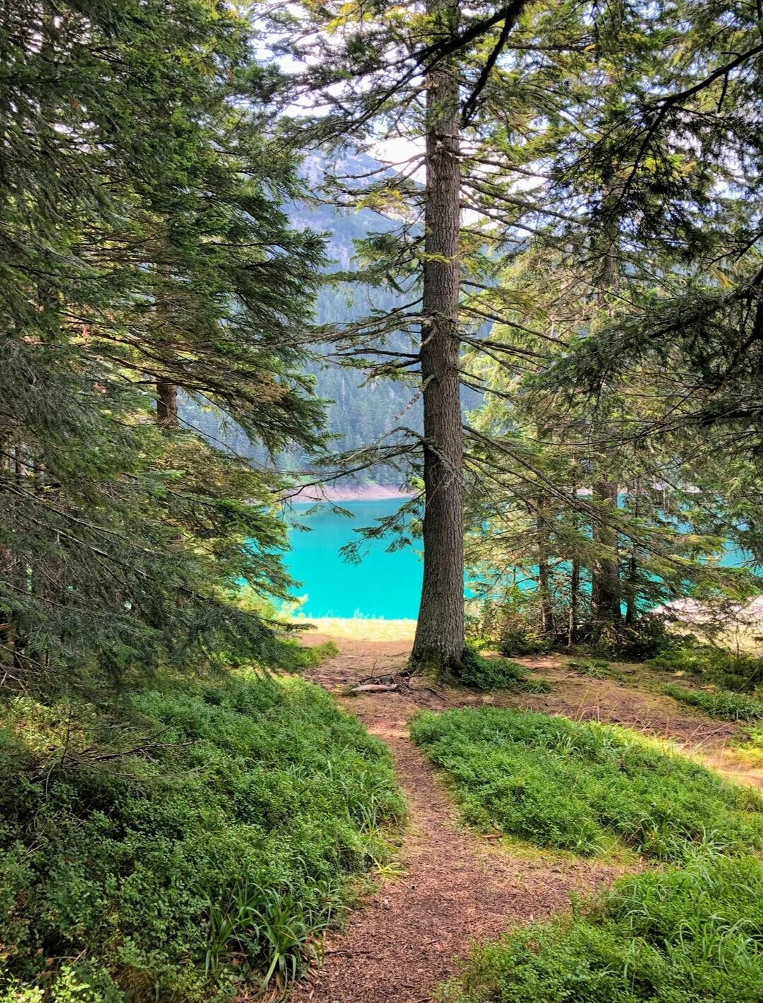 Unique Photos Bringing Life to Your Boring Feed