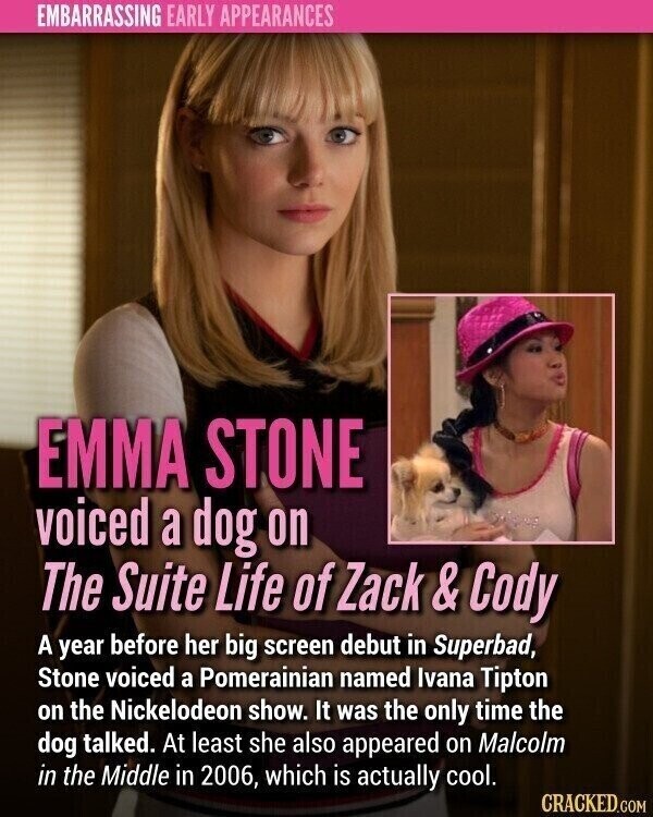 EMBARRASSING EARLY APPEARANCES EMMA STONE voiced a dog on The Suite Life of Zack & & Cody A year before her big screen debut in Superbad, Stone voiced a Pomerainian named Ivana Tipton on the Nickelodeon show. It was the only time the dog talked. At least she also appeared on Malcolm in the Middle in 2006, which is actually cool. CRACKED.COM