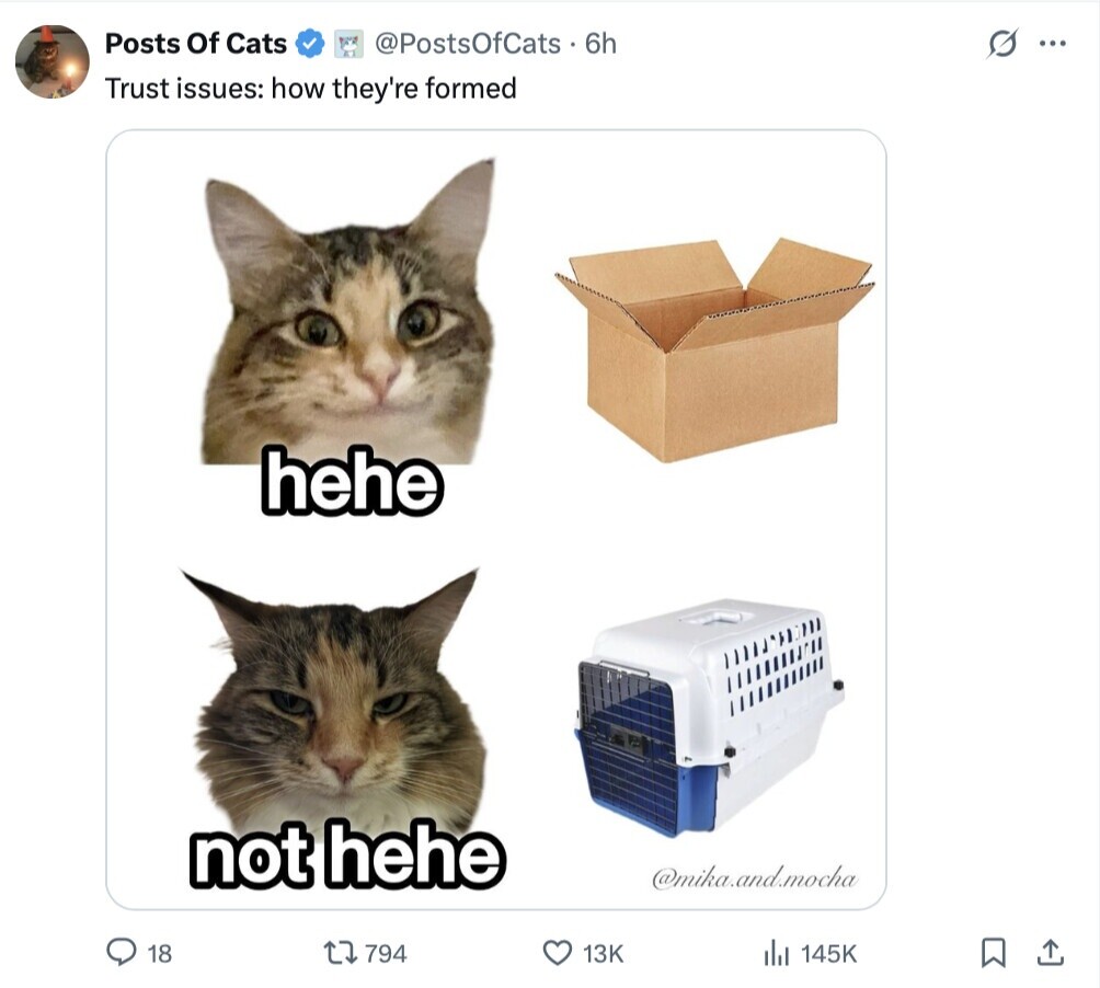 Posts Of Cats @PostsOfCats . 6h G ... Trust issues: how they're formed hehe not hehe @mika.and.mocha 18 794 13K 145K 