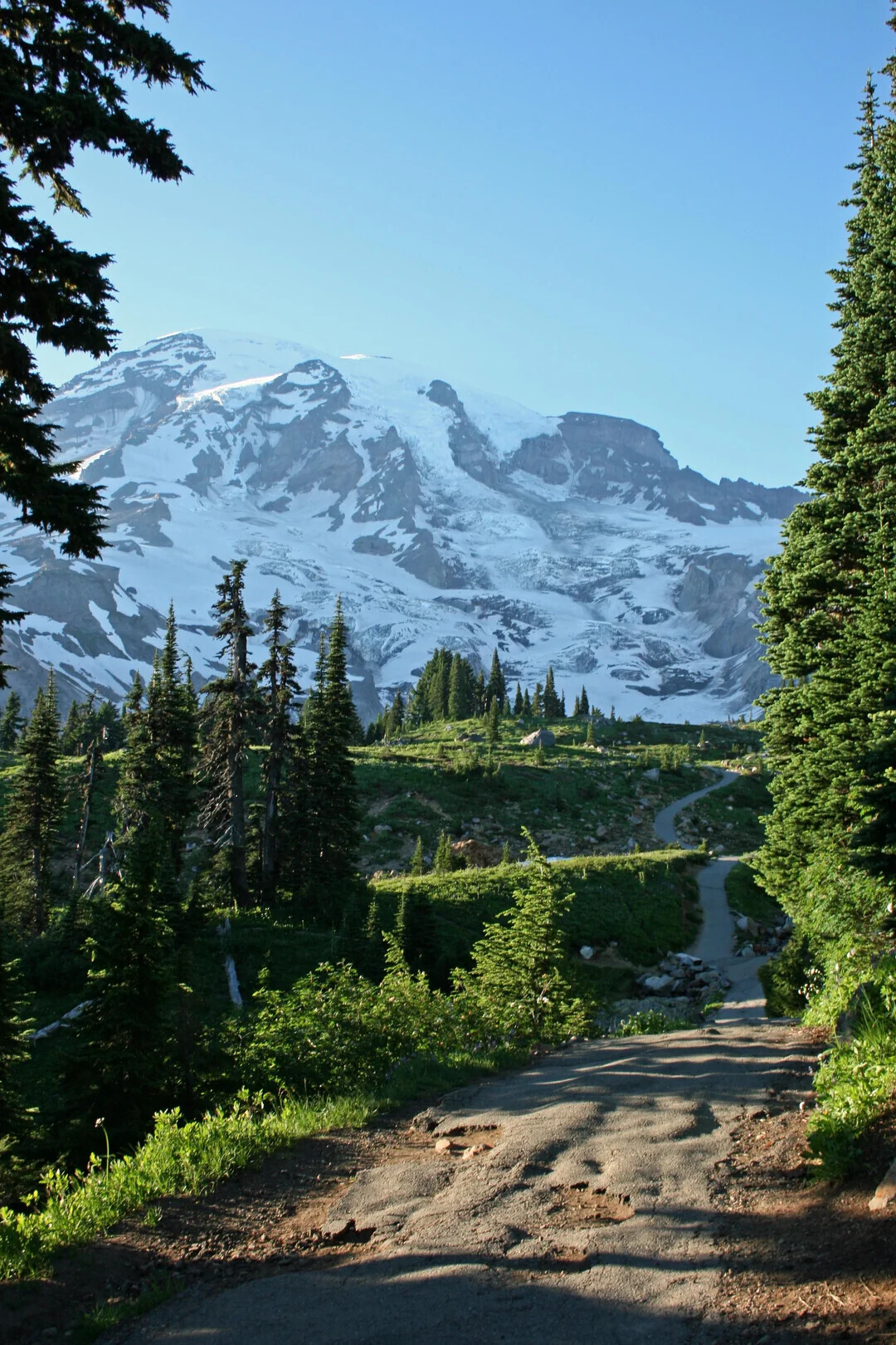 Unique Photos Bringing Life to Your Boring Feed