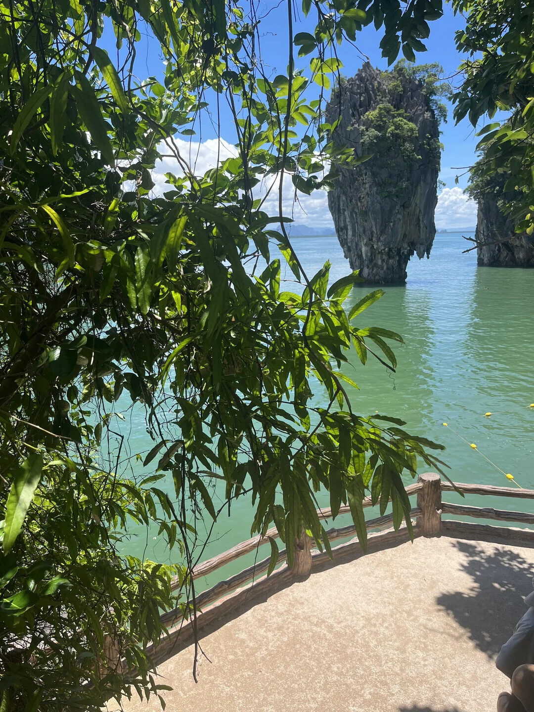 Unique Photos Bringing Life to Your Boring Feed