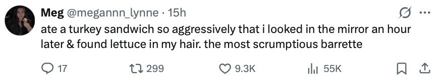 Meg @megannn_lynne . 15h ... ate a turkey sandwich so aggressively that i looked in the mirror an hour later & found lettuce in my hair. the most scrumptious barrette 17 299 9.3K 55K 