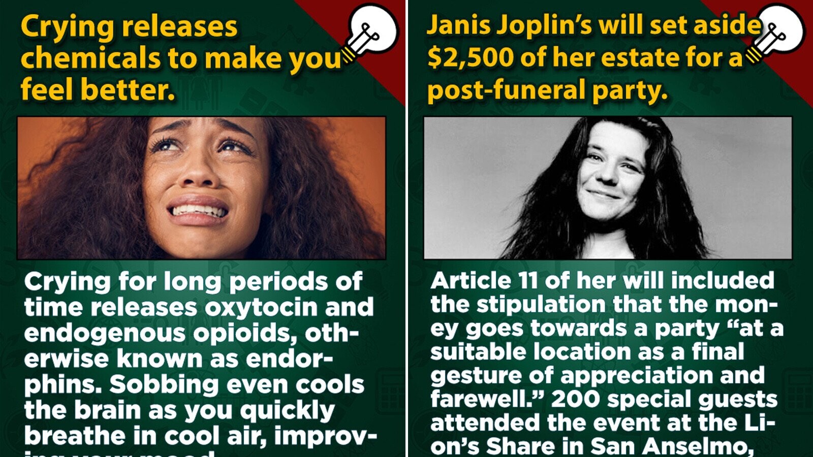 20 True Facts That Really Rattled Our Brain Cages