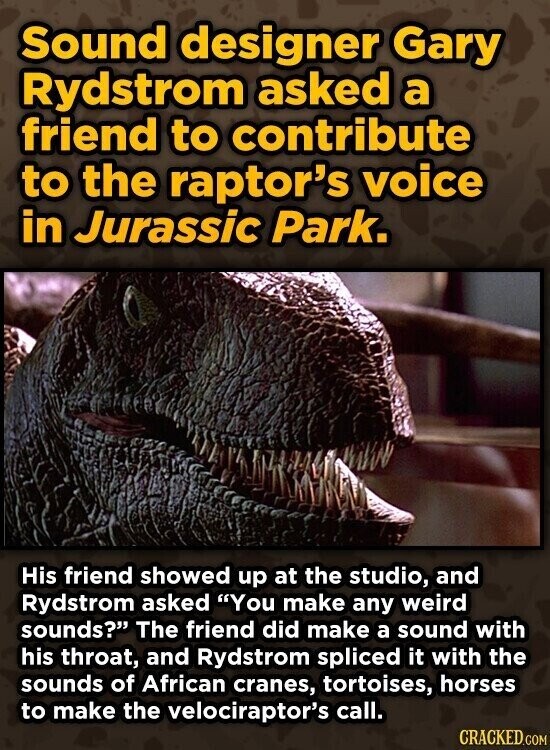 Sound designer Gary Rydstrom asked a friend to contribute to the raptor's voice in Jurassic Park. His friend showed up at the studio, and Rydstrom asked You make any weird sounds? The friend did make a sound with his throat, and Rydstrom spliced it with the sounds of African cranes, tortoises, horses to make the velociraptor's call. CRACKED.COM
