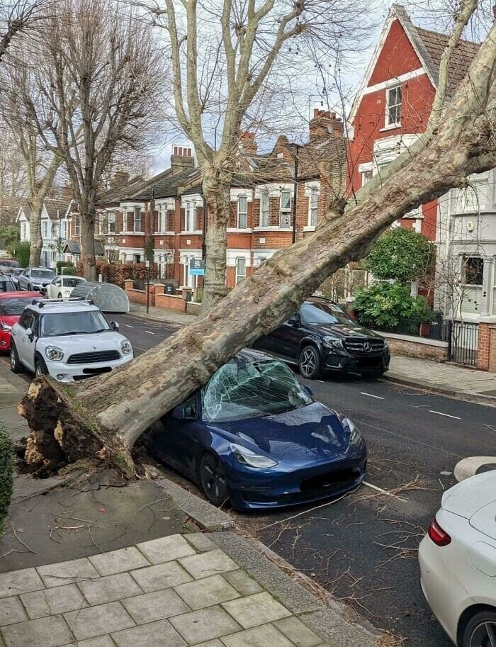 Photos Where Somebody's Gonna Need A Lawyer