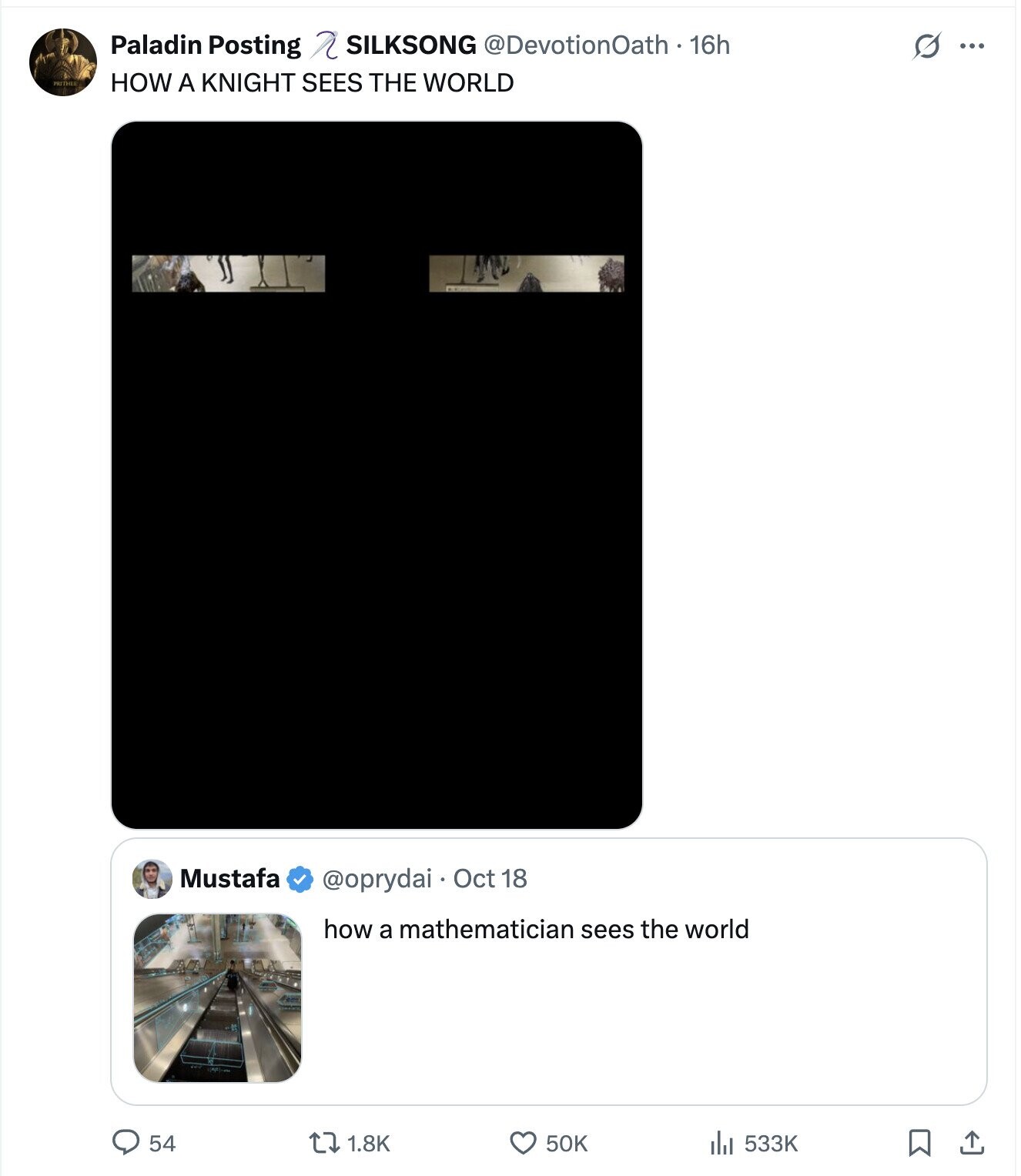 G ... Paladin Posting SILKSONG @DevotionOath . 16h PRITHER HOW A KNIGHT SEES THE WORLD Mustafa @oprydai Oct 18 how a mathematician sees the world 54 50K 1.8K 533K