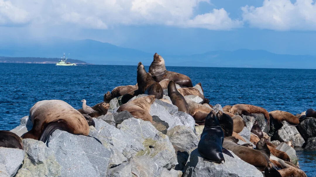 Unique Photos Bringing Life to Your Boring Feed