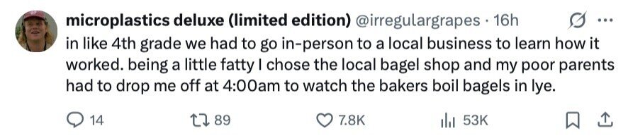 microplastics deluxe (limited edition) @irregulargrapes 16h ... in like 4th grade we had to go in-person to a local business to learn how it worked. being a little fatty I chose the local bagel shop and my poor parents had to drop me off at 4:00am to watch the bakers boil bagels in Iye. 14 89 7.8K 53K 