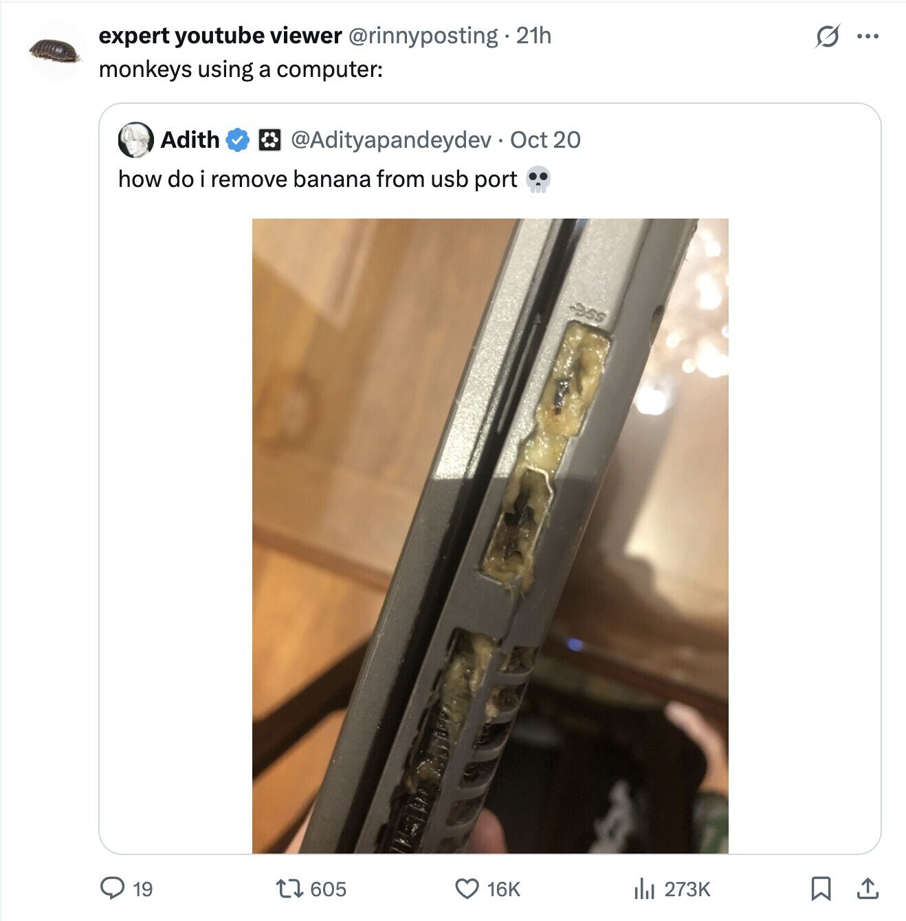 S expert youtube viewer @rinnyposting.21h ... monkeys using a computer: Adith @Adityapandeydev- Oct 20 how do i remove banana from usb port SSS 19 605 16K del 273K
