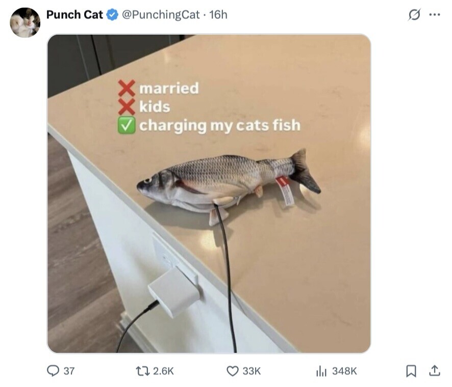 Punch Cat @PunchingCat - 16h S ... xx married kids charging my cats fish 37 2.6K 33K 348K 