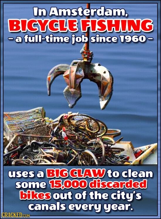In Amsterdam, BICYCLE FISHING - а full-time job since 1960- uses a BIG CLAW to clean some 15,000 discarded bikes out of the city's canals every year. CRACKED CON