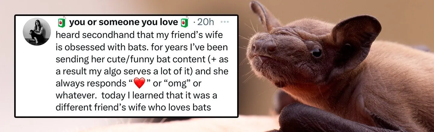 25 of the Funniest Tweets from December 6, 2023