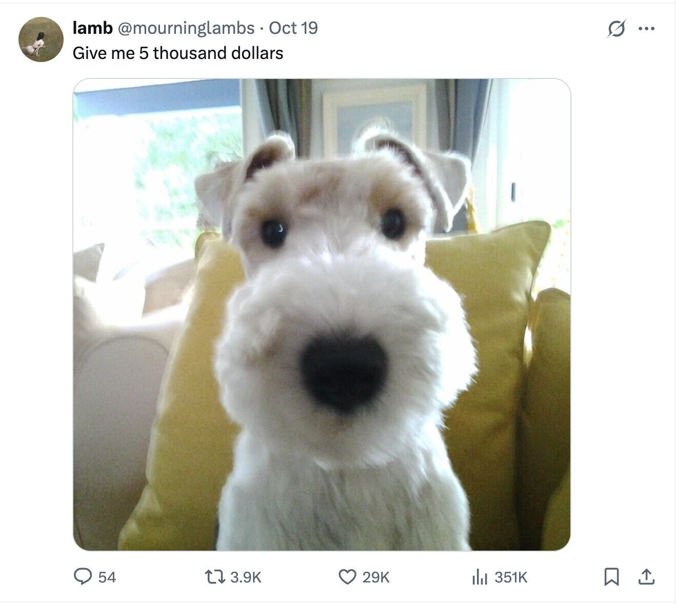 lamb @mourninglambs Oct 19 G ... Give me 5 thousand dollars 54 3.9K 29K 351K