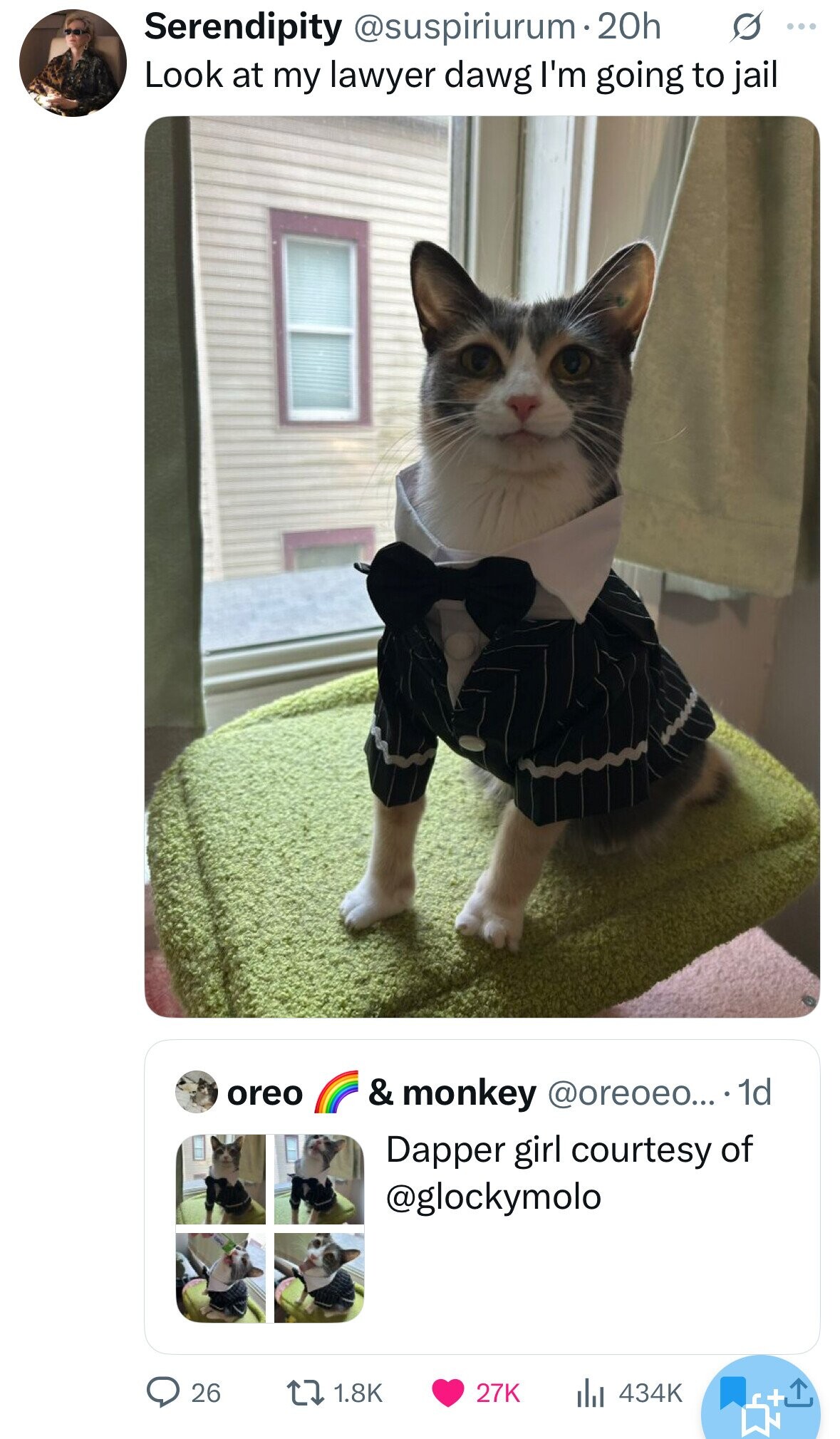 Serendipity @suspiriurum 20h s ... Look at my lawyer dawg I'm going to jail oreo & monkey @oreoeo... . 1d Dapper girl courtesy of @glockymolo 26 1.8K 27K 434K +ء 
