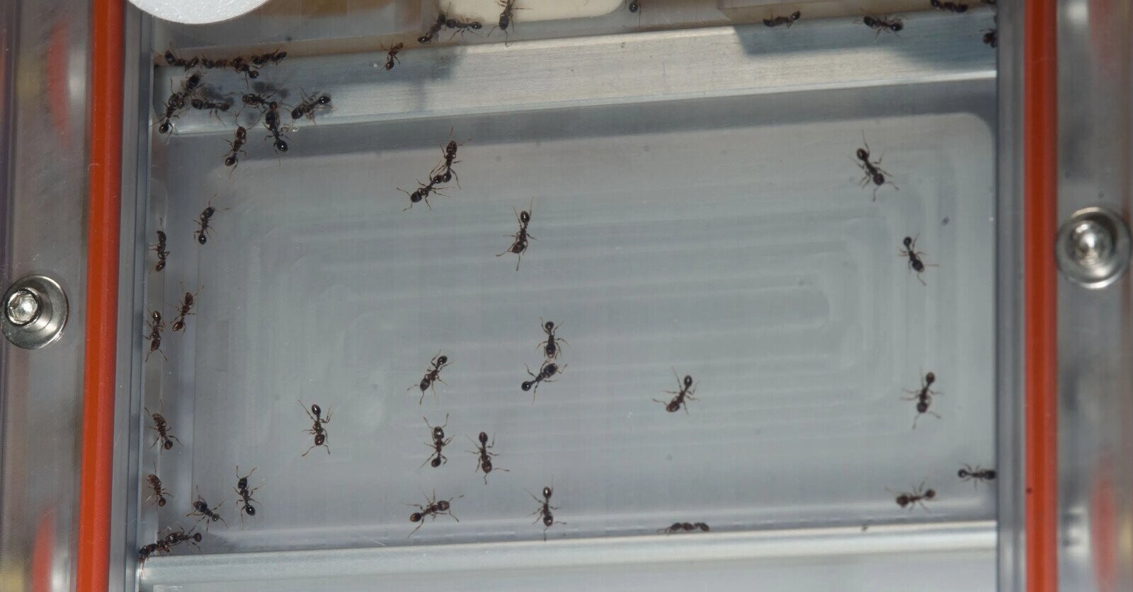 20 Bizarre Space Experiments That Actually Happened